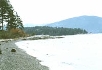beachfront roberts creek